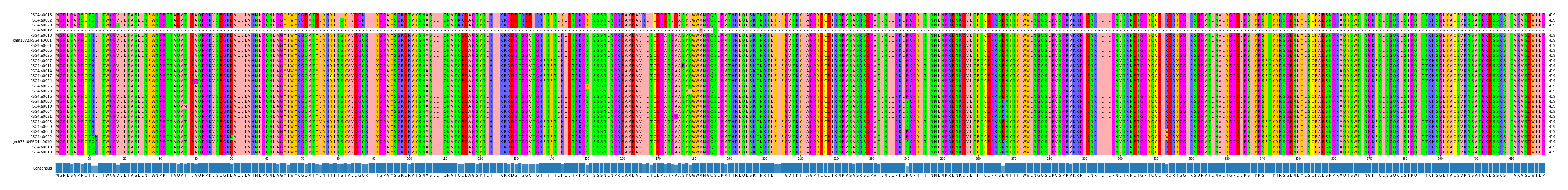 Multiple Alignments (by translate haplotype similarity)