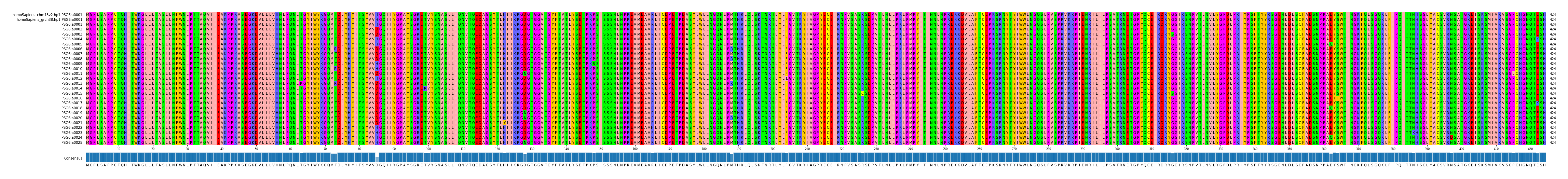 Multiple Alignments (by translate haplotype frequency)