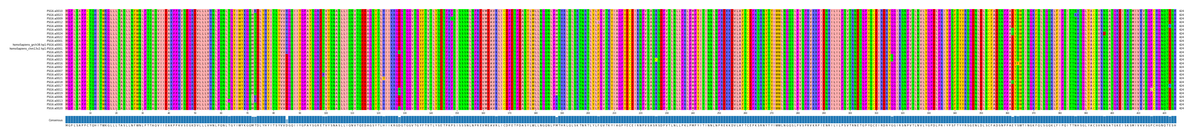Multiple Alignments (by translate haplotype similarity)