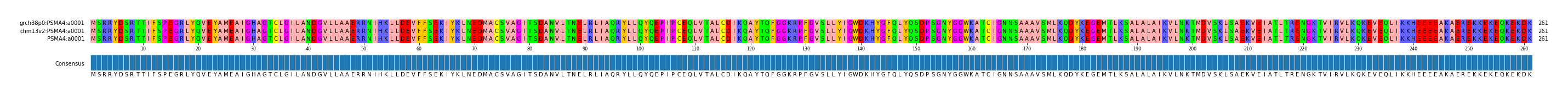 Multiple Alignments (by translate haplotype similarity)