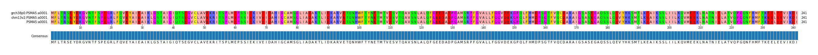 Multiple Alignments (by translate haplotype similarity)
