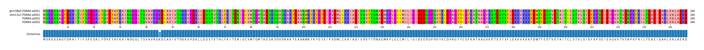 Multiple Alignments (by translate haplotype similarity)