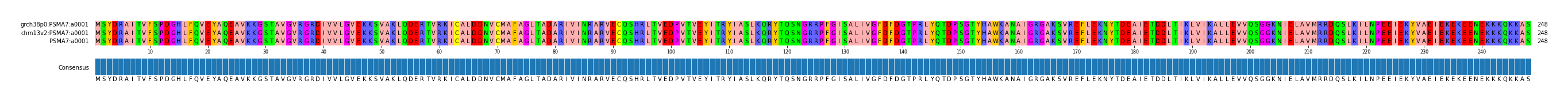 Multiple Alignments (by translate haplotype frequency)