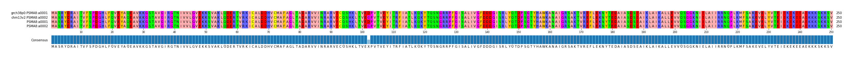 Multiple Alignments (by translate haplotype frequency)