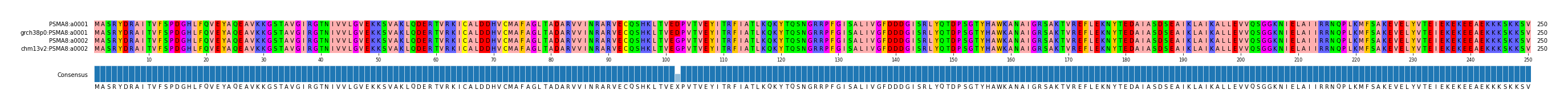Multiple Alignments (by translate haplotype similarity)