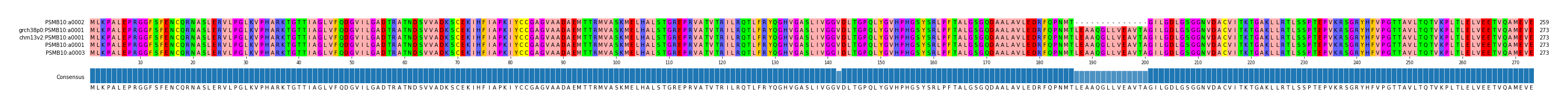 Multiple Alignments (by translate haplotype similarity)