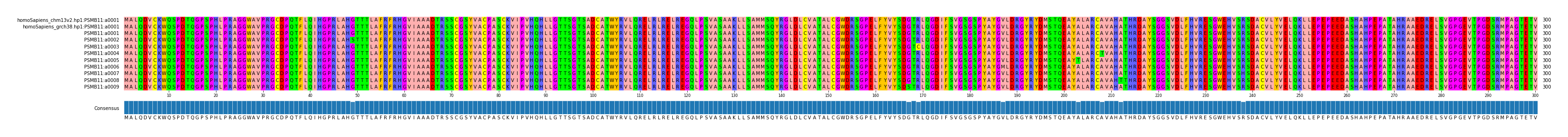 Multiple Alignments (by translate haplotype frequency)