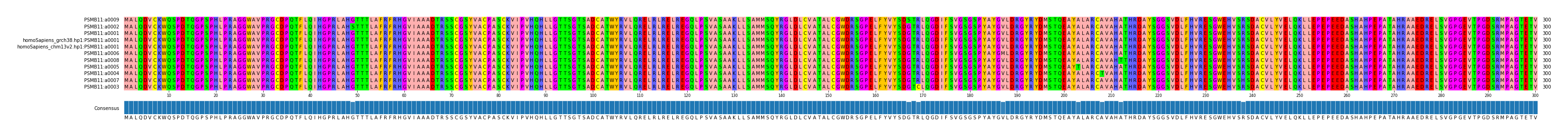 Multiple Alignments (by translate haplotype similarity)