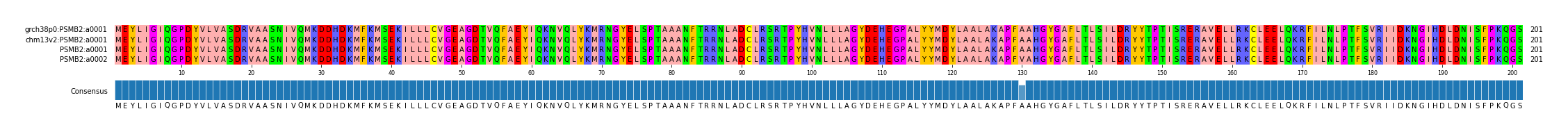 Multiple Alignments (by translate haplotype similarity)