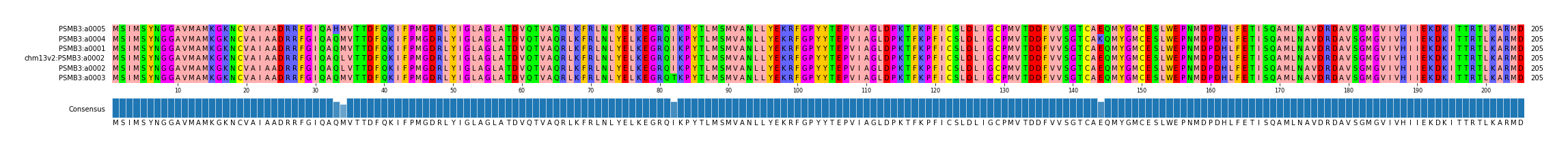Multiple Alignments (by translate haplotype similarity)