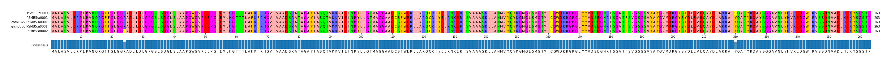 Multiple Alignments (by translate haplotype similarity)