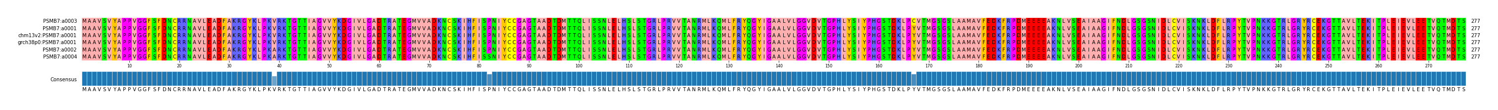 Multiple Alignments (by translate haplotype similarity)