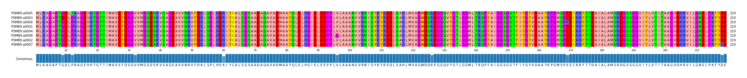 Multiple Alignments (by translate haplotype similarity)
