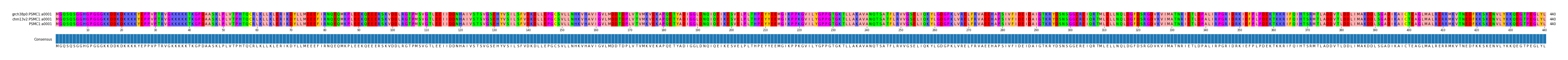 Multiple Alignments (by translate haplotype similarity)