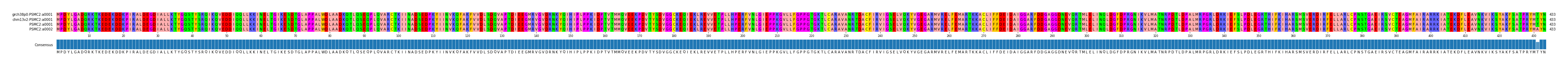 Multiple Alignments (by translate haplotype similarity)