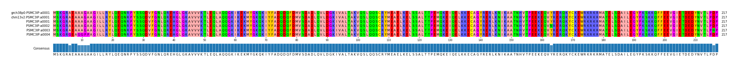 Multiple Alignments (by translate haplotype frequency)