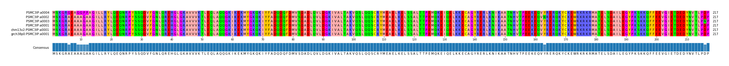 Multiple Alignments (by translate haplotype similarity)