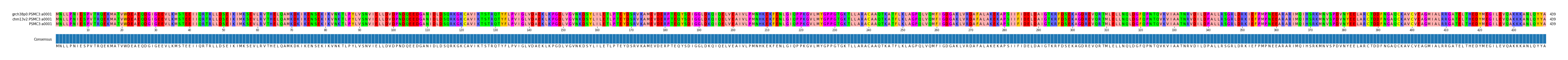 Multiple Alignments (by translate haplotype frequency)