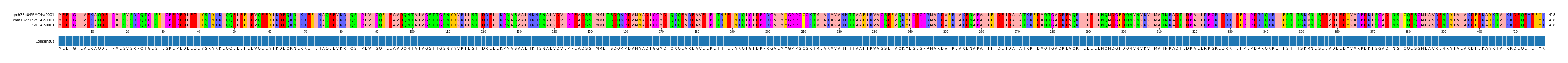 Multiple Alignments (by translate haplotype similarity)