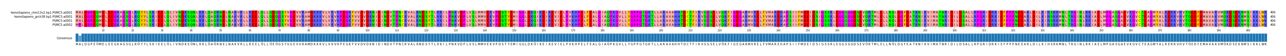 Multiple Alignments (by translate haplotype similarity)
