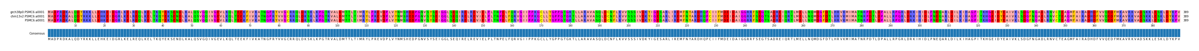 Multiple Alignments (by translate haplotype similarity)