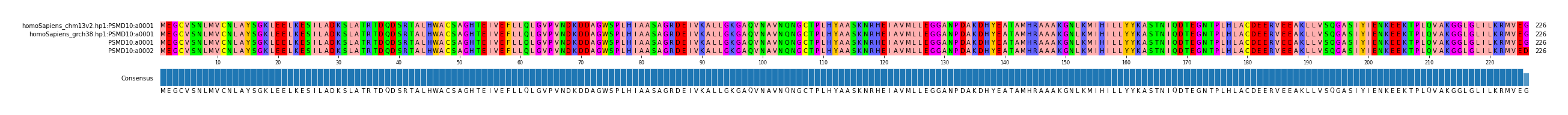 Multiple Alignments (by translate haplotype similarity)