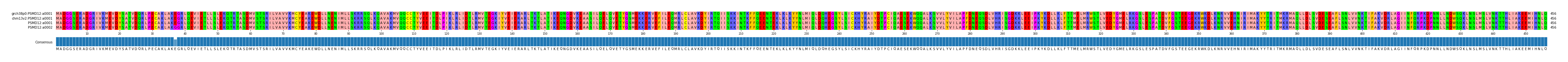 Multiple Alignments (by translate haplotype similarity)