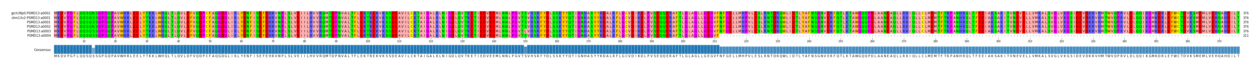 Multiple Alignments (by translate haplotype frequency)
