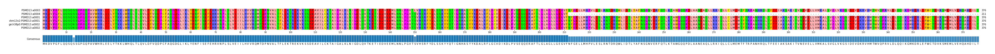 Multiple Alignments (by translate haplotype similarity)