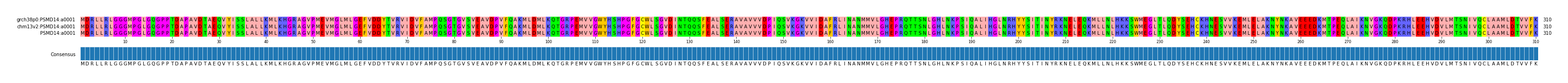 Multiple Alignments (by translate haplotype frequency)