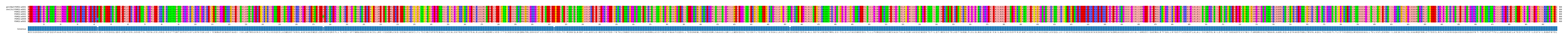Multiple Alignments (by translate haplotype frequency)