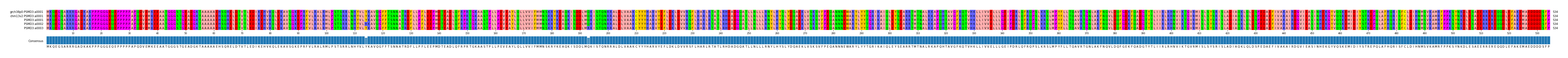 Multiple Alignments (by translate haplotype frequency)