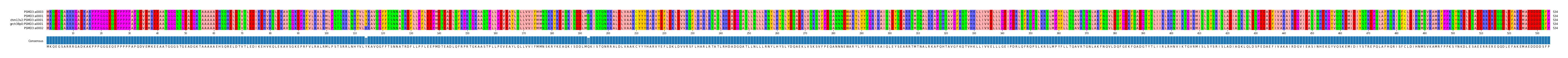 Multiple Alignments (by translate haplotype similarity)