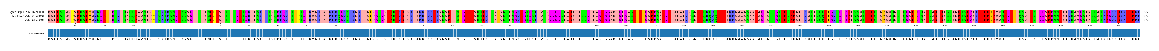 Multiple Alignments (by translate haplotype similarity)