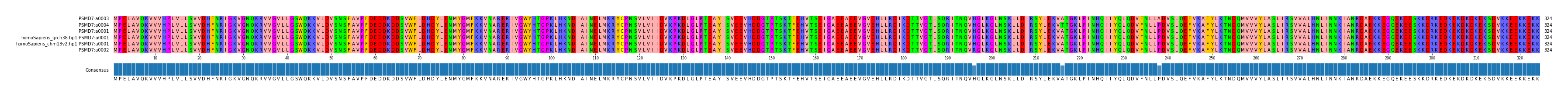 Multiple Alignments (by translate haplotype similarity)