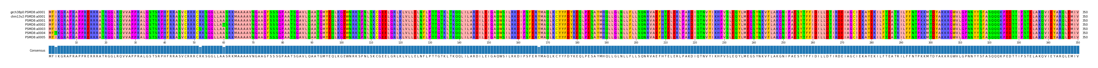 Multiple Alignments (by translate haplotype frequency)