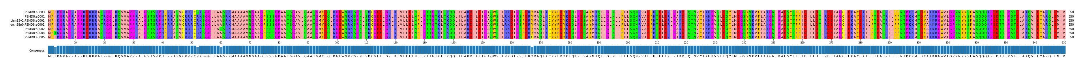 Multiple Alignments (by translate haplotype similarity)