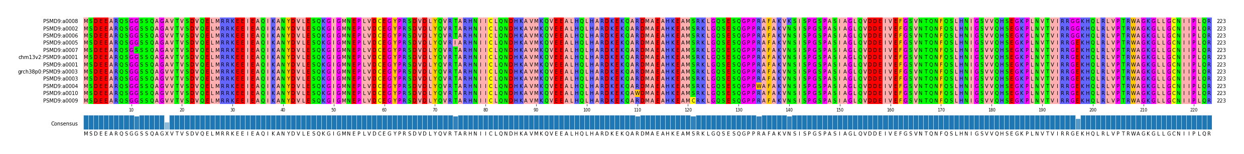 Multiple Alignments (by translate haplotype similarity)
