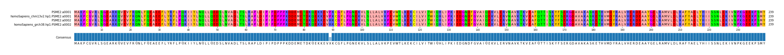 Multiple Alignments (by translate haplotype similarity)