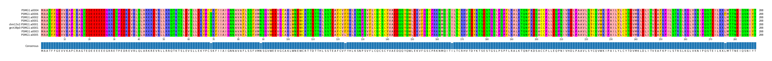 Multiple Alignments (by translate haplotype similarity)