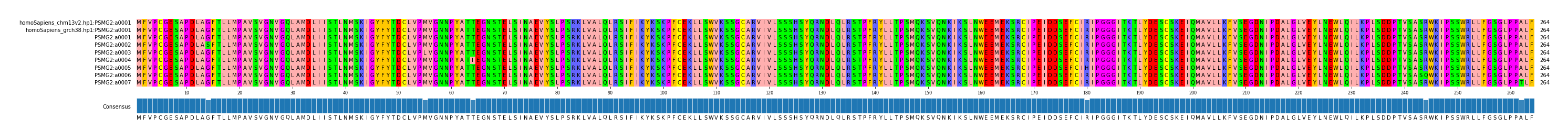 Multiple Alignments (by translate haplotype frequency)
