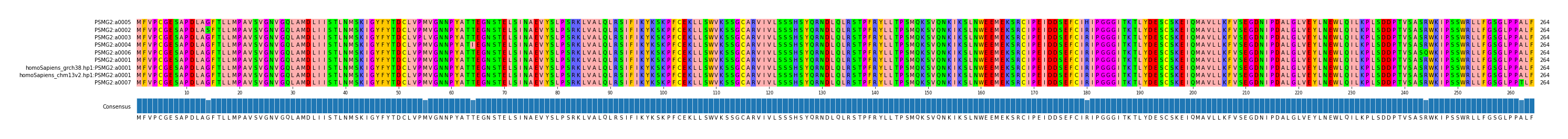 Multiple Alignments (by translate haplotype similarity)