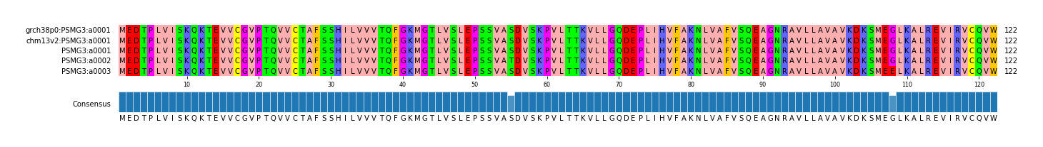 Multiple Alignments (by translate haplotype frequency)