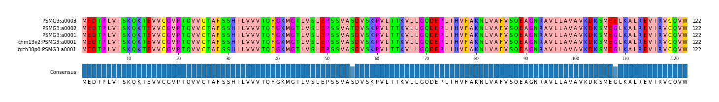 Multiple Alignments (by translate haplotype similarity)