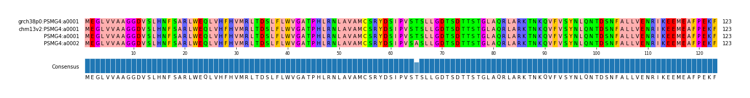 Multiple Alignments (by translate haplotype similarity)