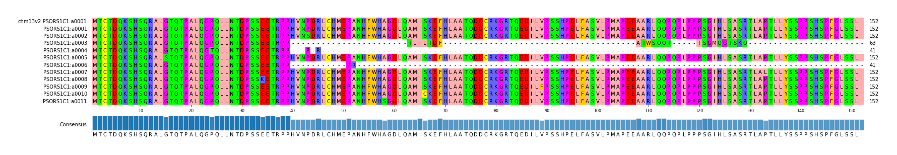 Multiple Alignments (by translate haplotype frequency)