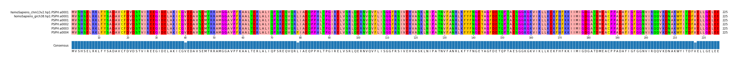 Multiple Alignments (by translate haplotype frequency)