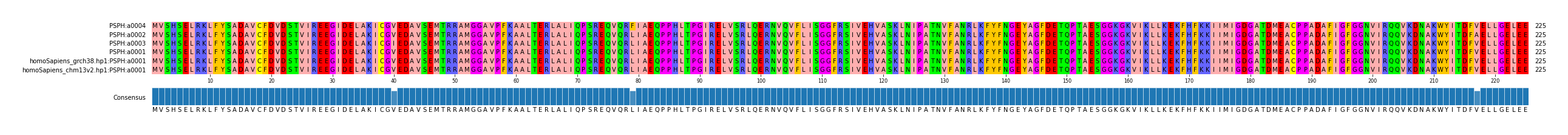 Multiple Alignments (by translate haplotype similarity)
