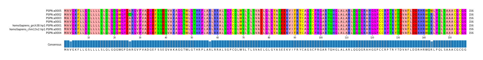 Multiple Alignments (by translate haplotype similarity)