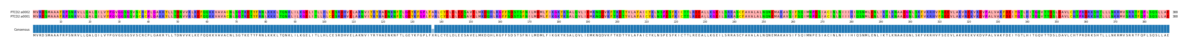 Multiple Alignments (by translate haplotype similarity)